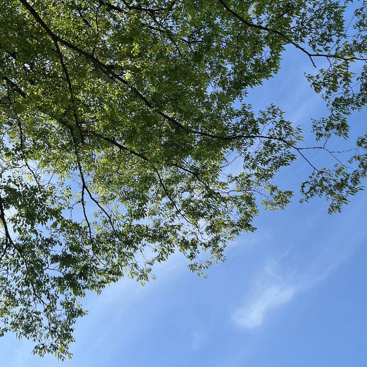 ごめんなさい…