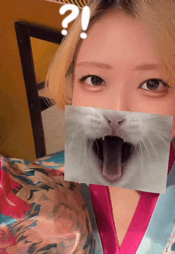 おはよう❣️このかです🐱