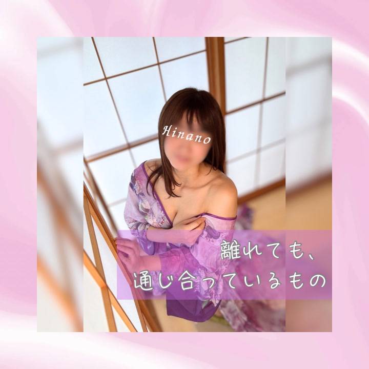 離れていても通じ合っているもの🕊️