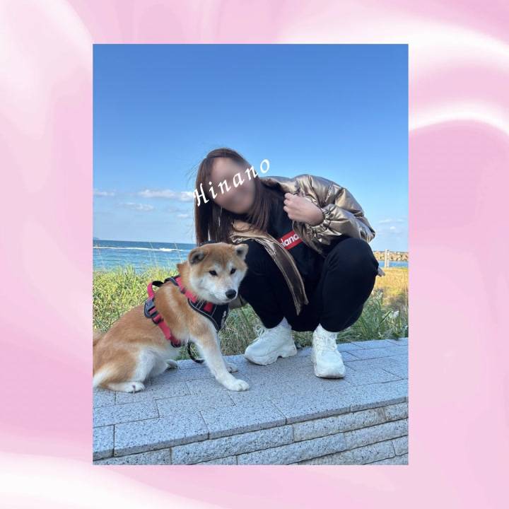 お休みの日の癒し時間🐾