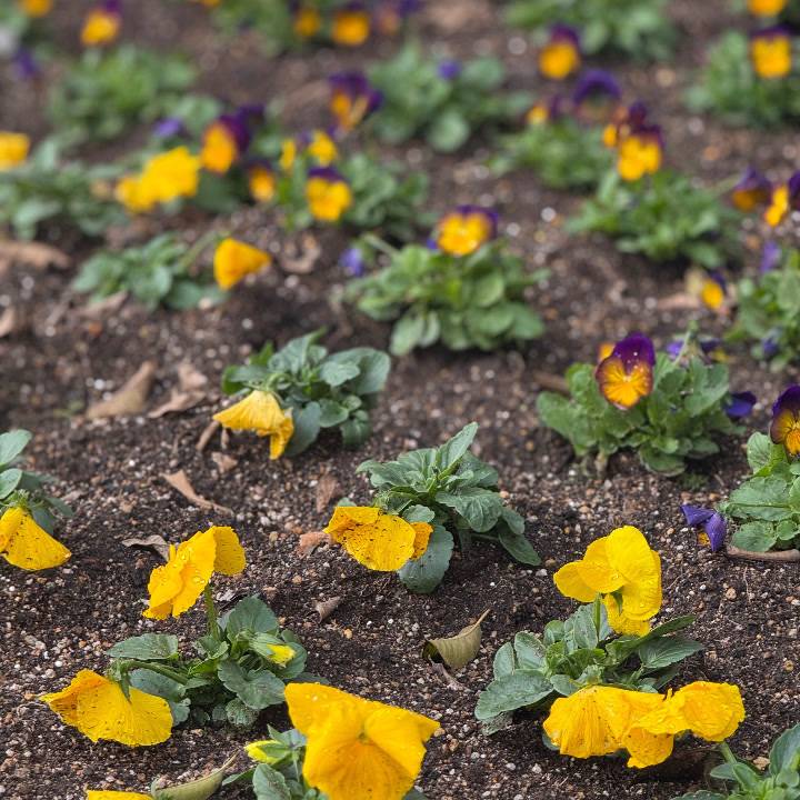 【お外好き！】