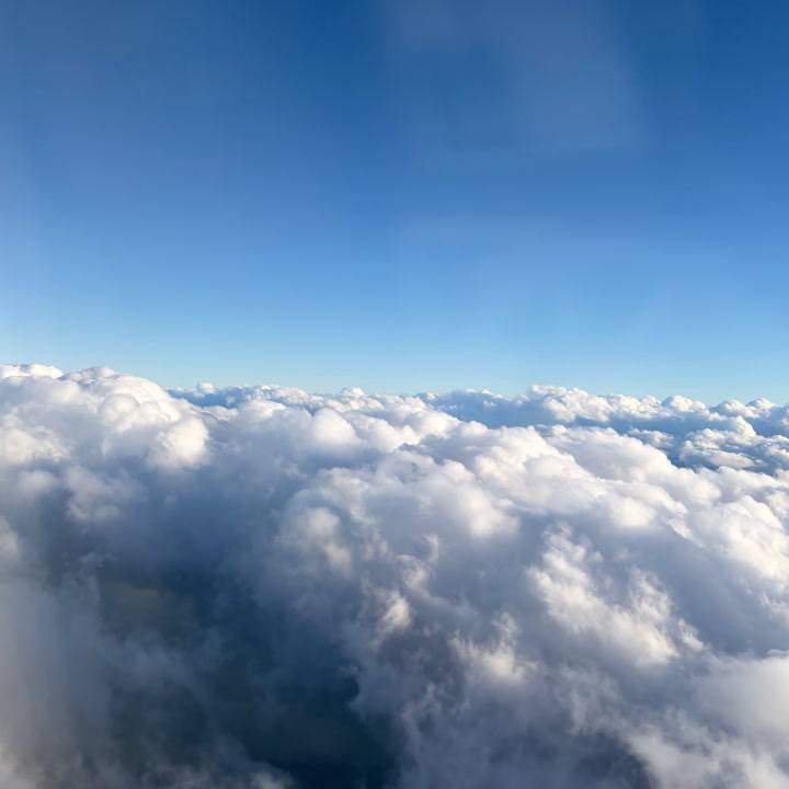 このかです‼️