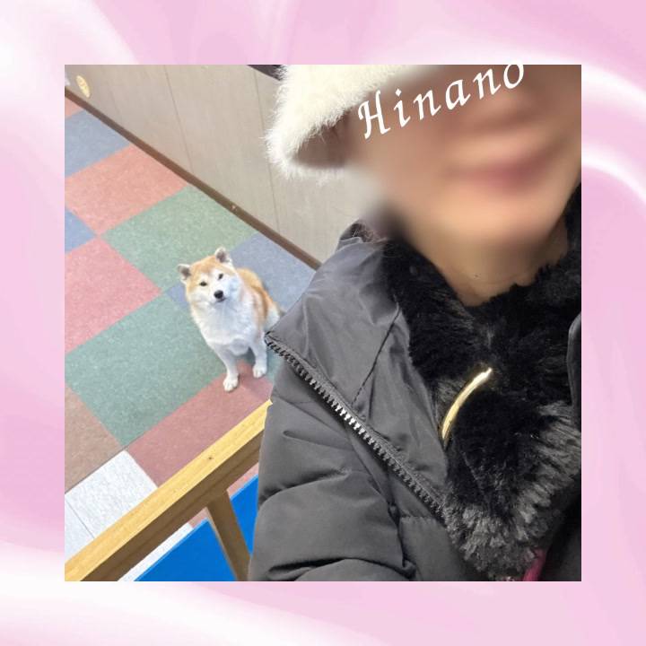 今日のワンコ🐶