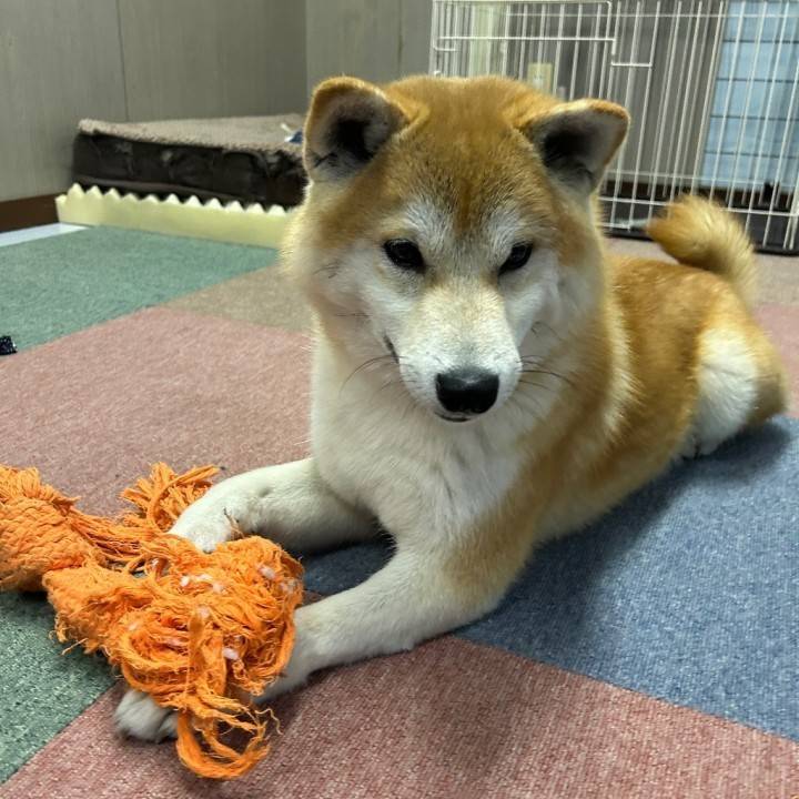 ありがとうございました🙇🏻‍♀️💓