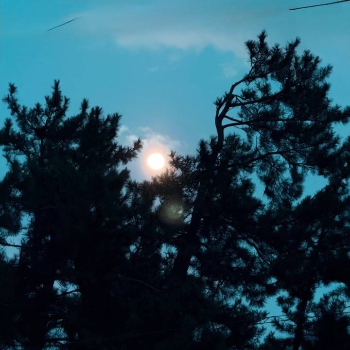 【来たよーーー！！！！】