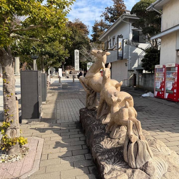 ひろの休日❤️