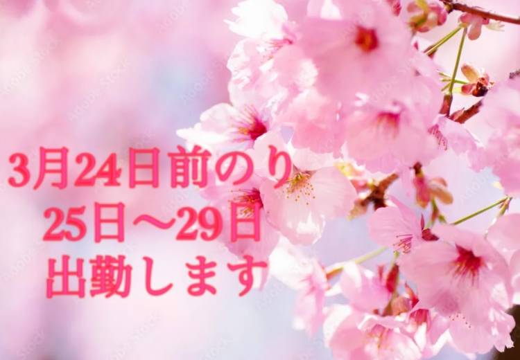 決まりました❗️