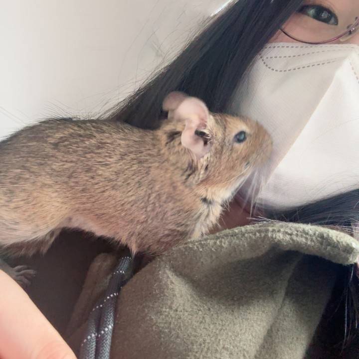 帰ってきたので！