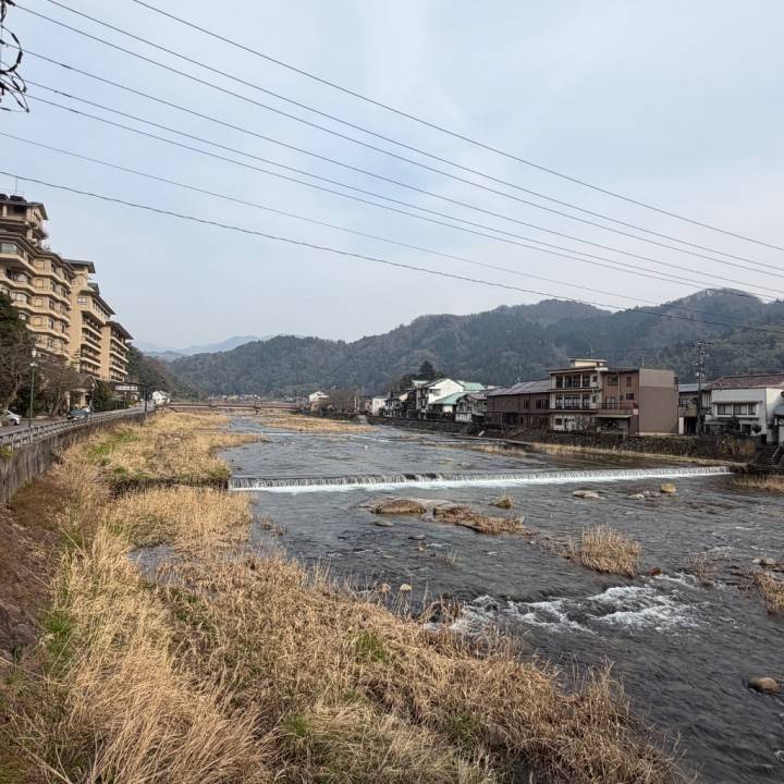 本日お休みします。
