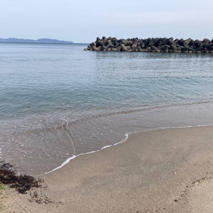 朝散歩☆