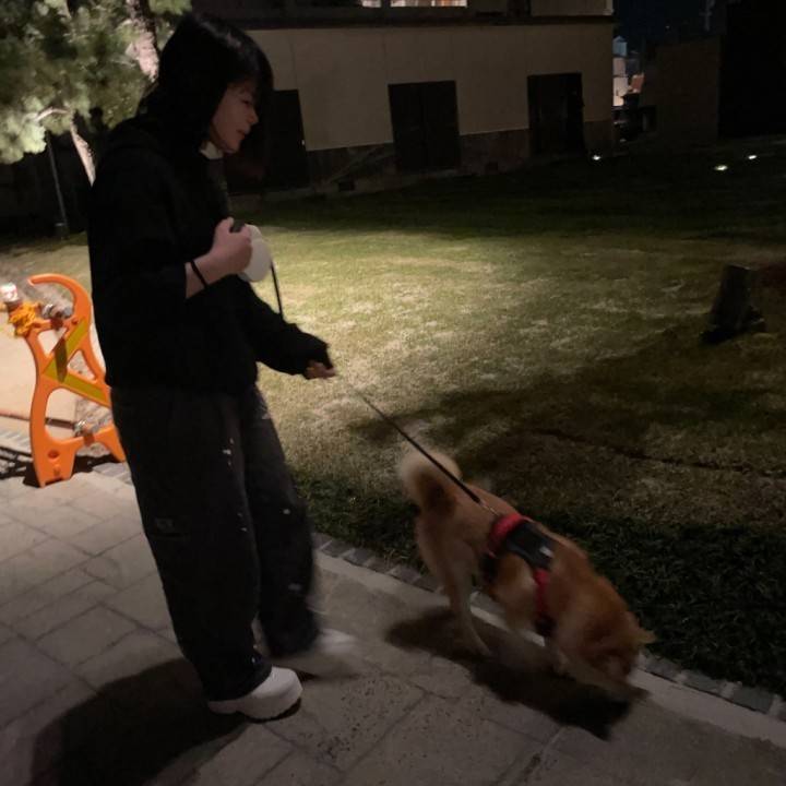 ワン！