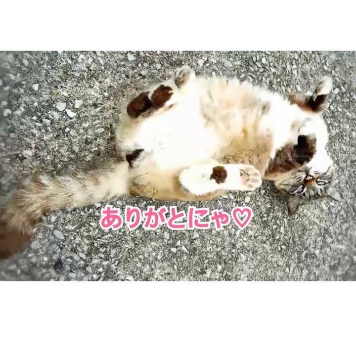 米子出勤ありがとうございました💞