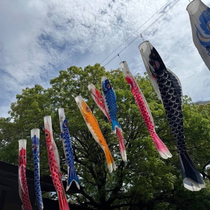 明日は、、