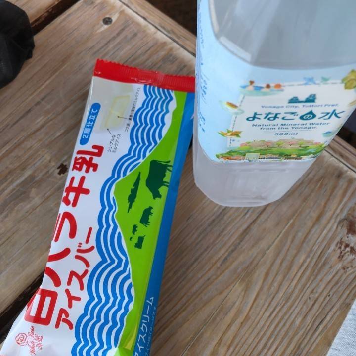 天気が良いって最高の娯楽☀️