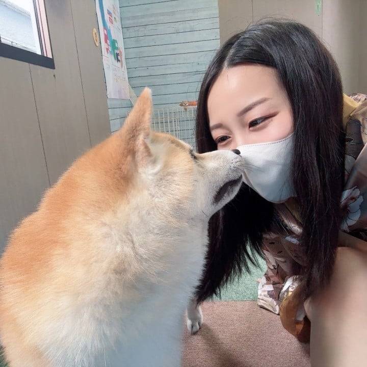 わん！！