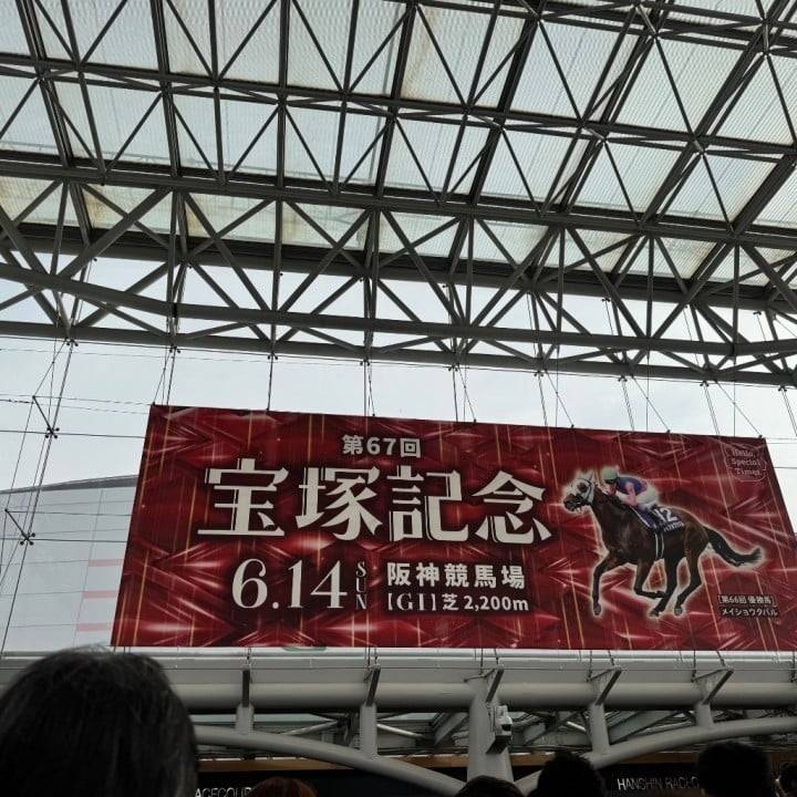 今回来た理由
