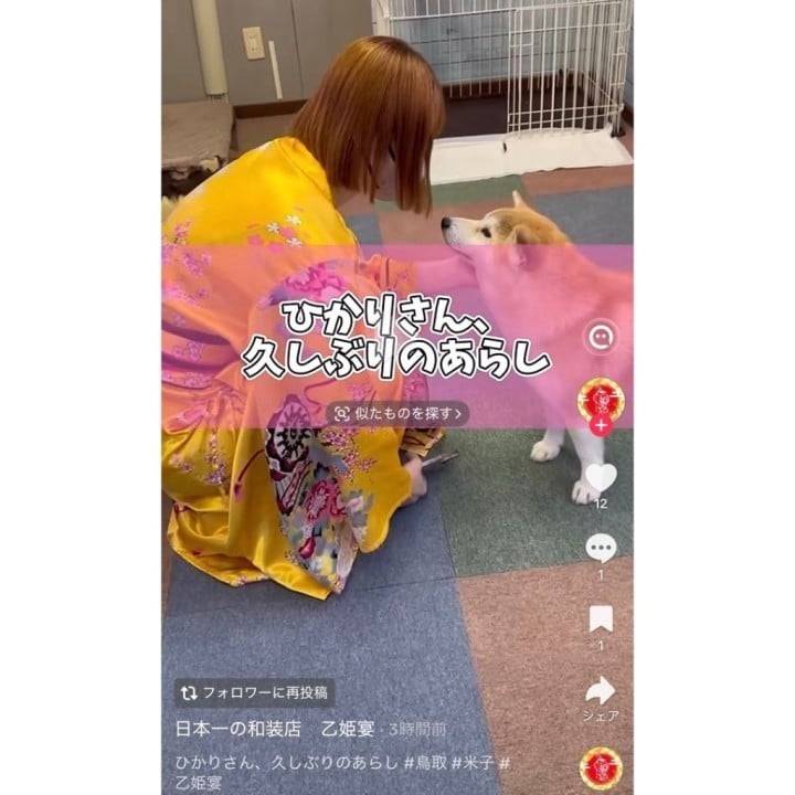 あらし部長💟