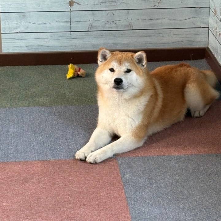 ずっと会いたかった