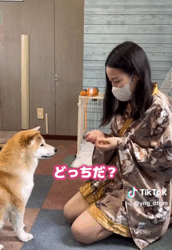地雷条件