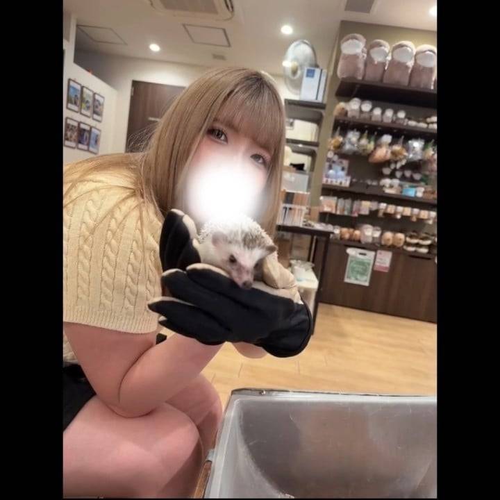 ハリネズミ🦔