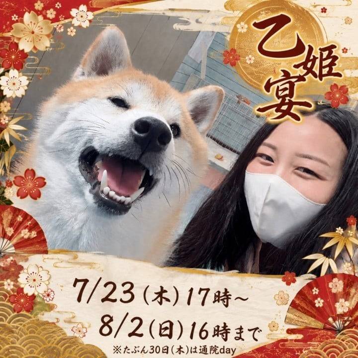 告知ー