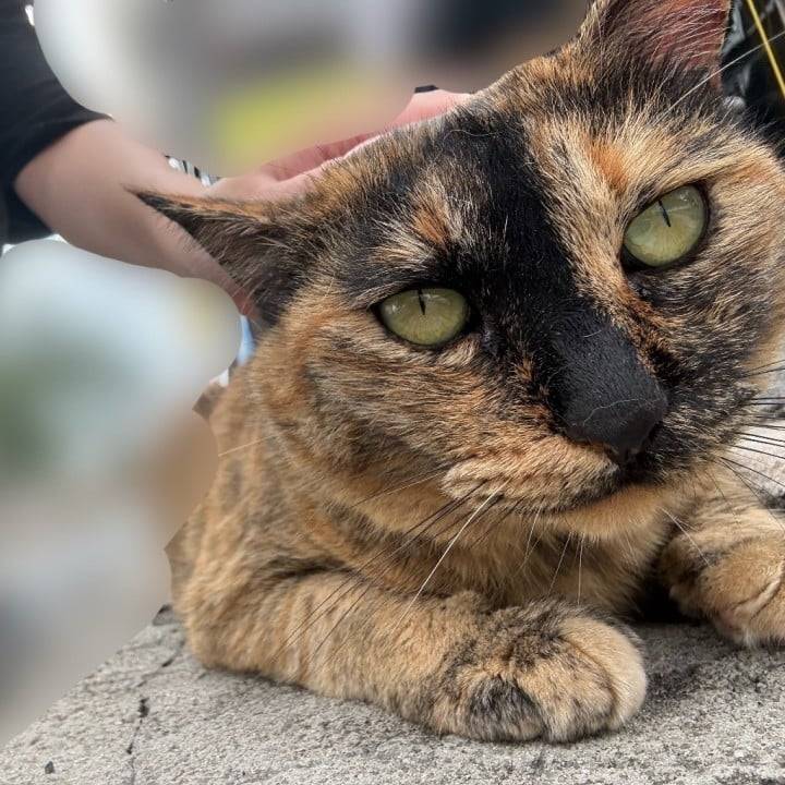 ありがとうございました🫶🏻