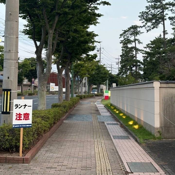 せいな推しだよね🥺？