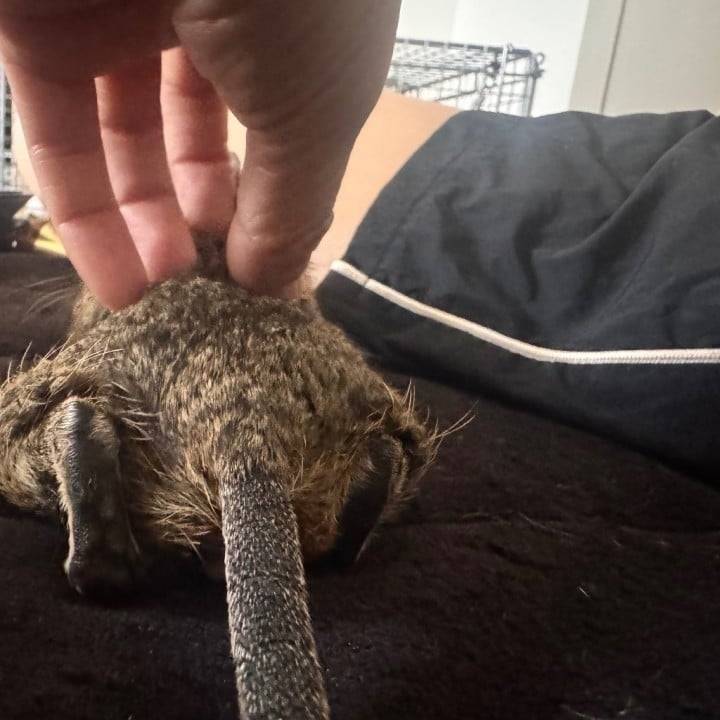 私から見える世界