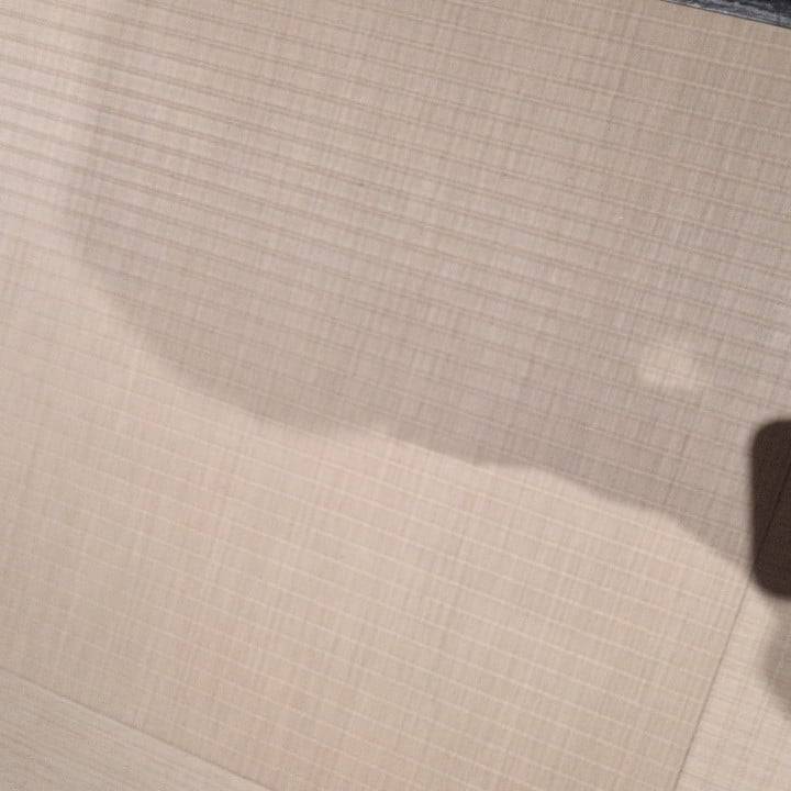 てすと