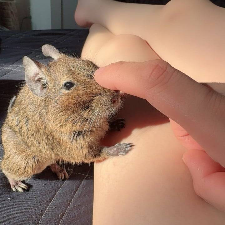 避暑しにきました