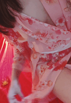 噂の猫ちゃん着物👘