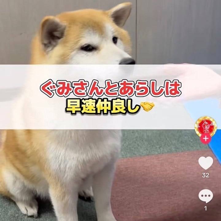 あらし部長と初共演🎥✨