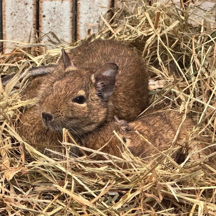 何してても可愛い