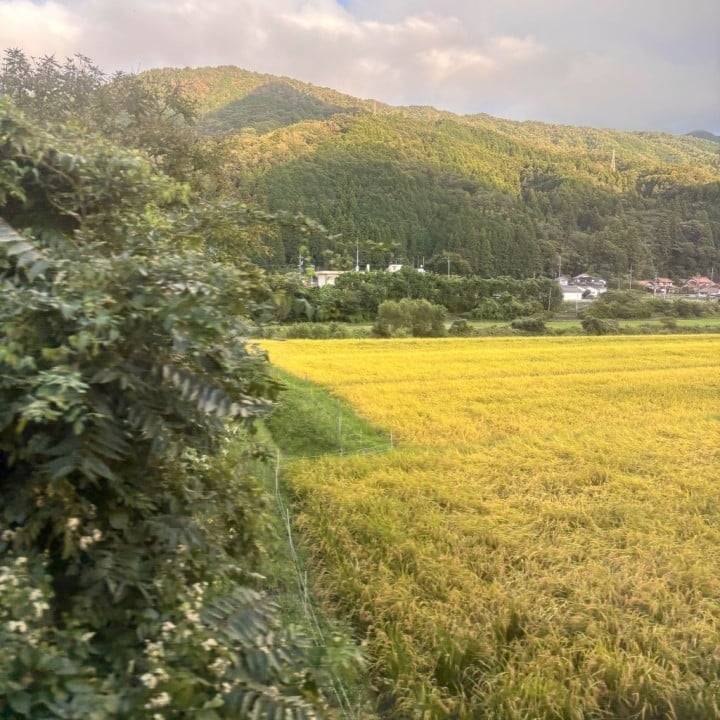 取り急ぎの朝の挨拶に来たよ