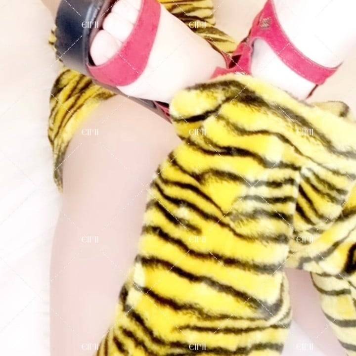 今日の一日
