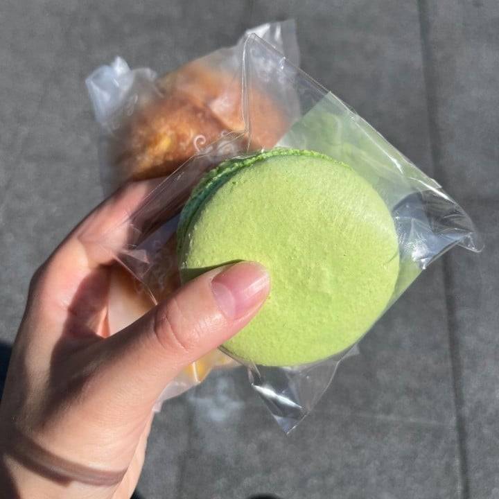 腐ってました！！！