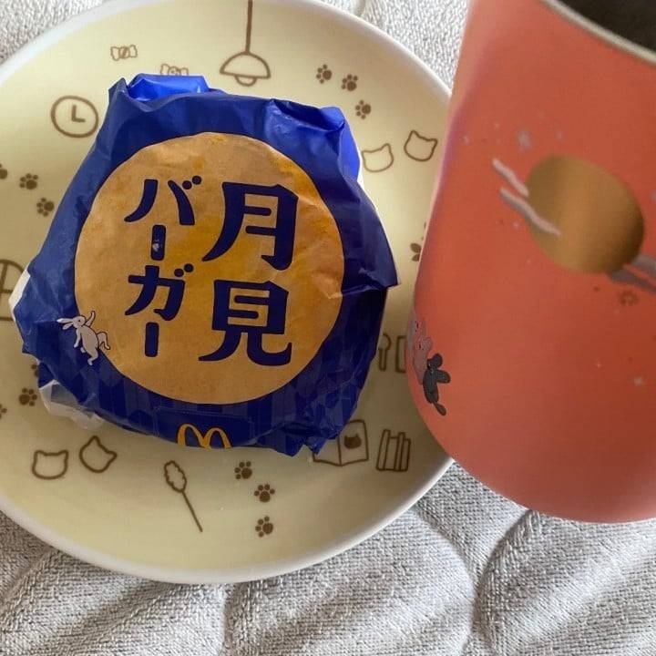 再度シュコー🤿笑