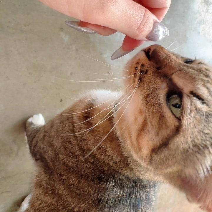 堀◯輔でワロテル