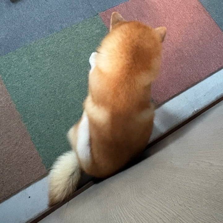 この後もお待ちしてます！