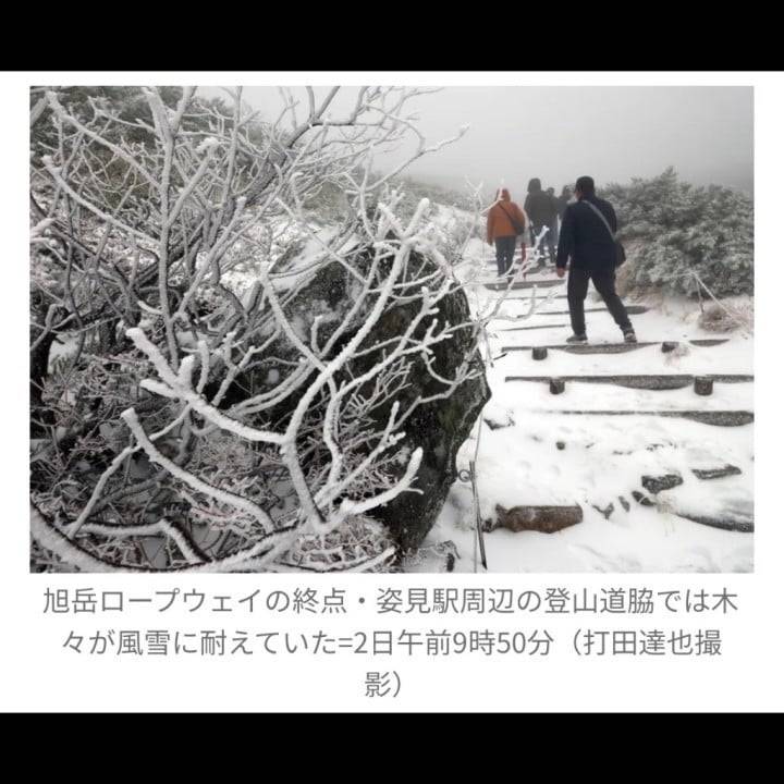 さむさむ〜
