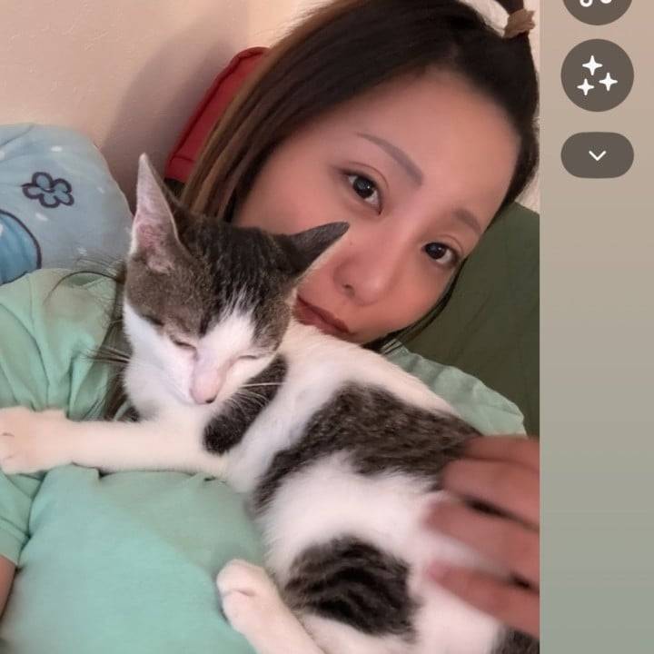 ねこちち