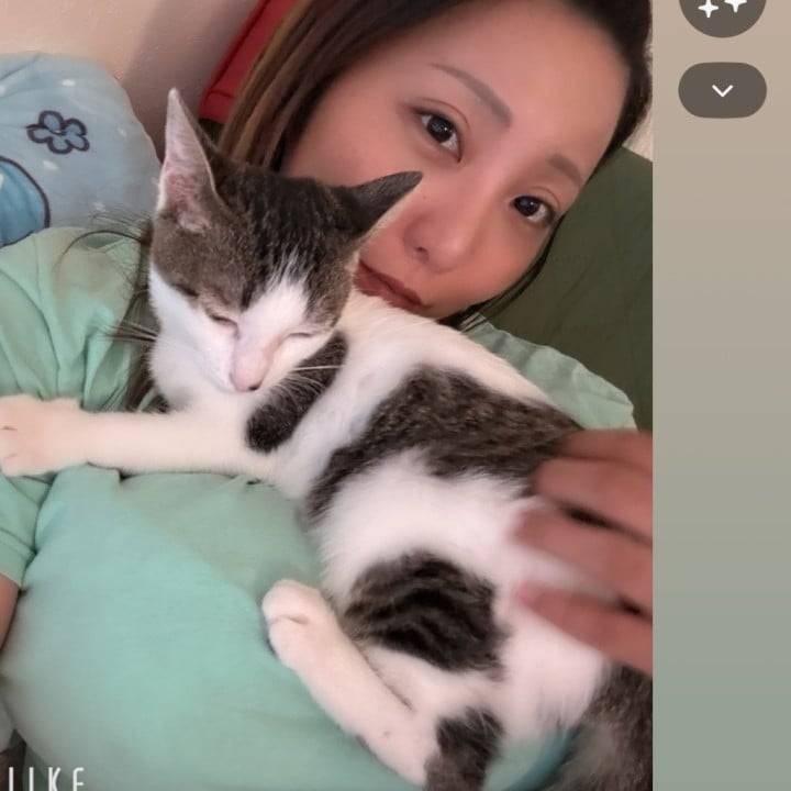 にゃ❤️