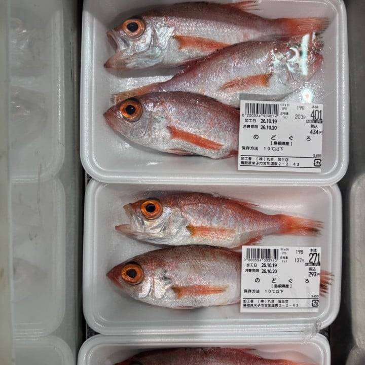 のどぐろ🐟
