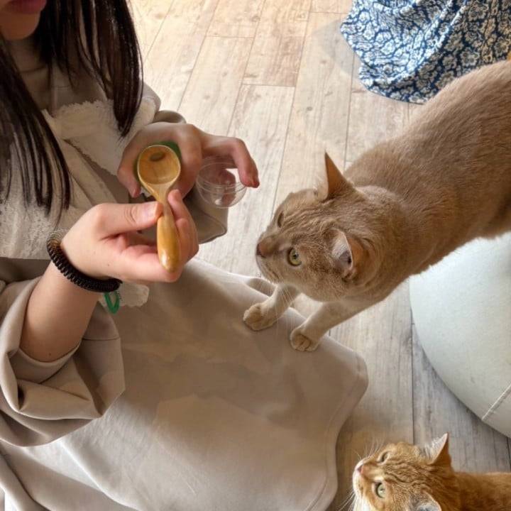 🌟目標🌟