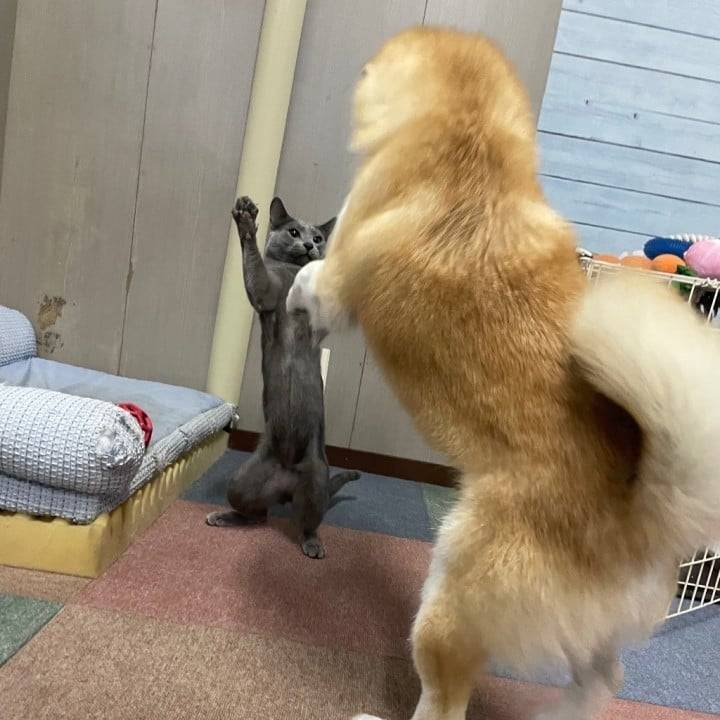 昨日、話し損ねた事