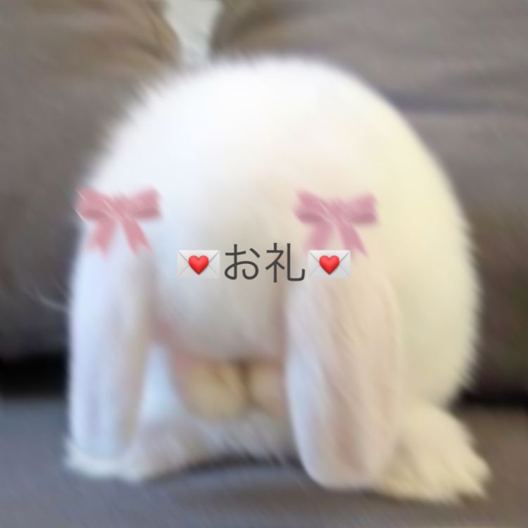 ダブルツリー203のお兄様