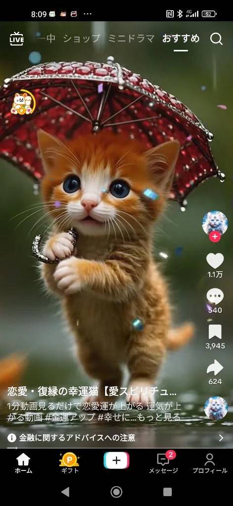 雨降ってるから