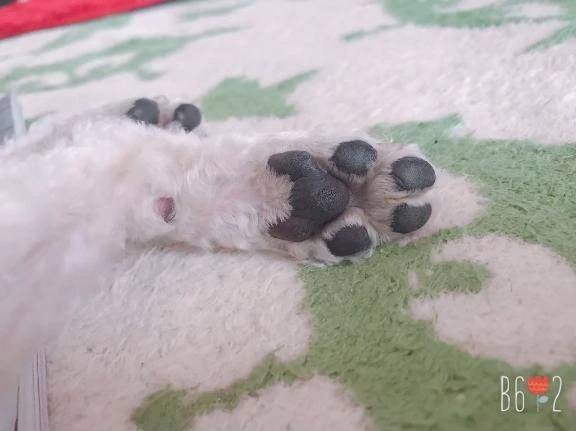 こんにちは😊