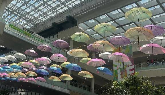 カラフルな傘がいっぱい！☂️