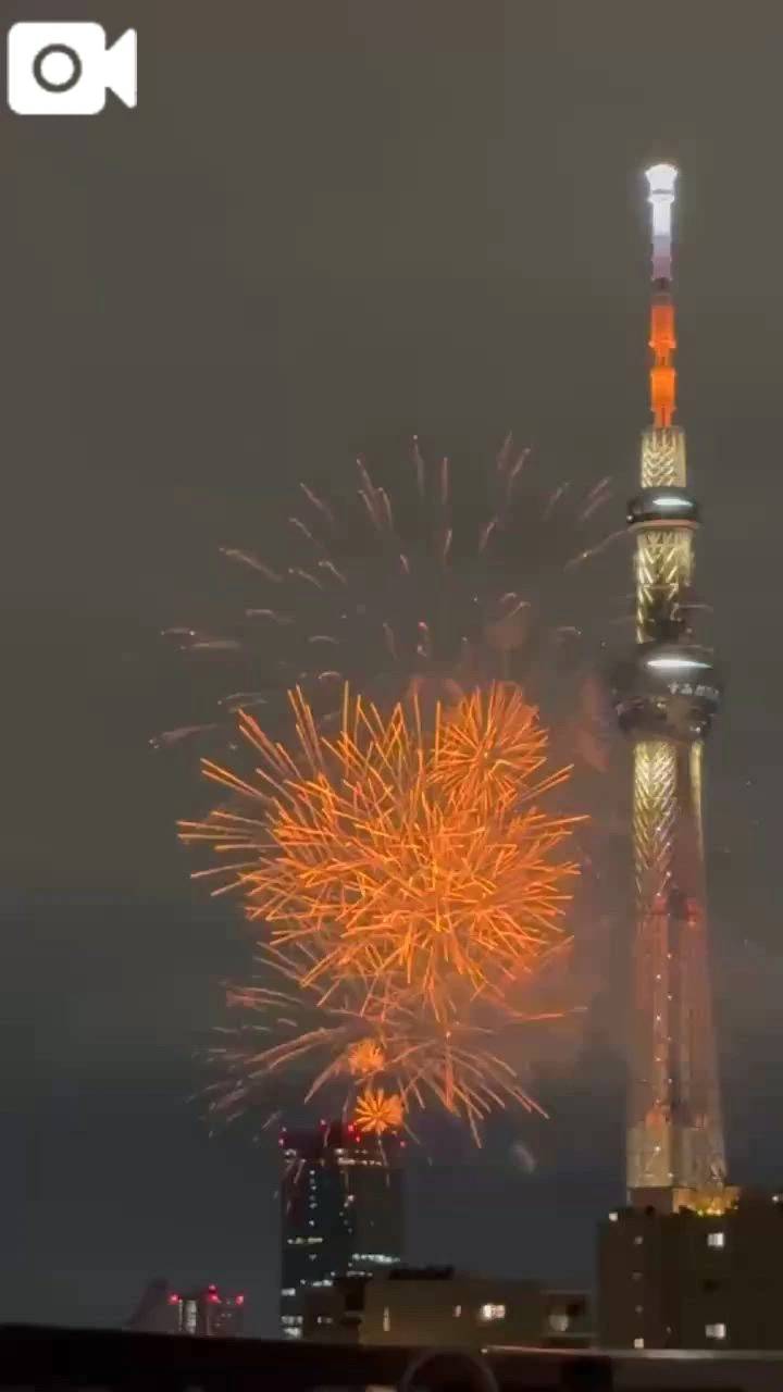グッモーニン(*^^*)